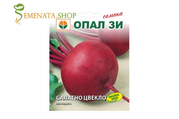 Семена на салатно цвекло Бикорес